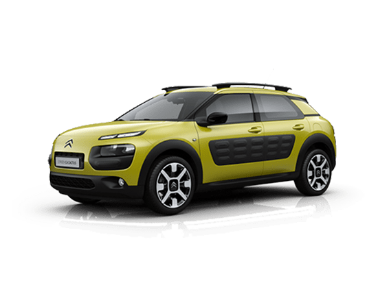 C4 CACTUS C4 CACTUS
