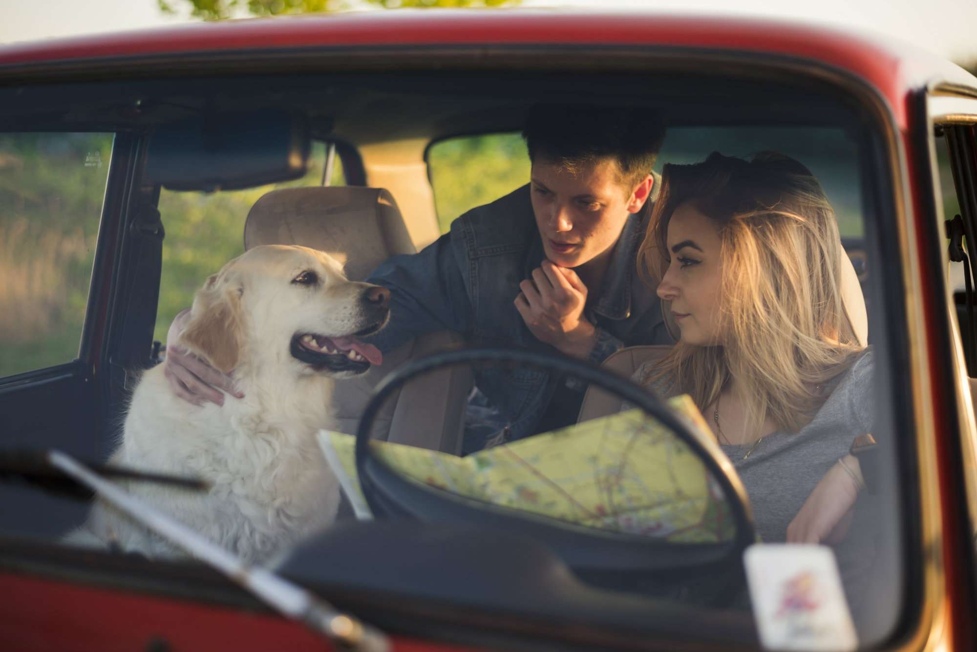 Consejos para viajar en coche con tu perro