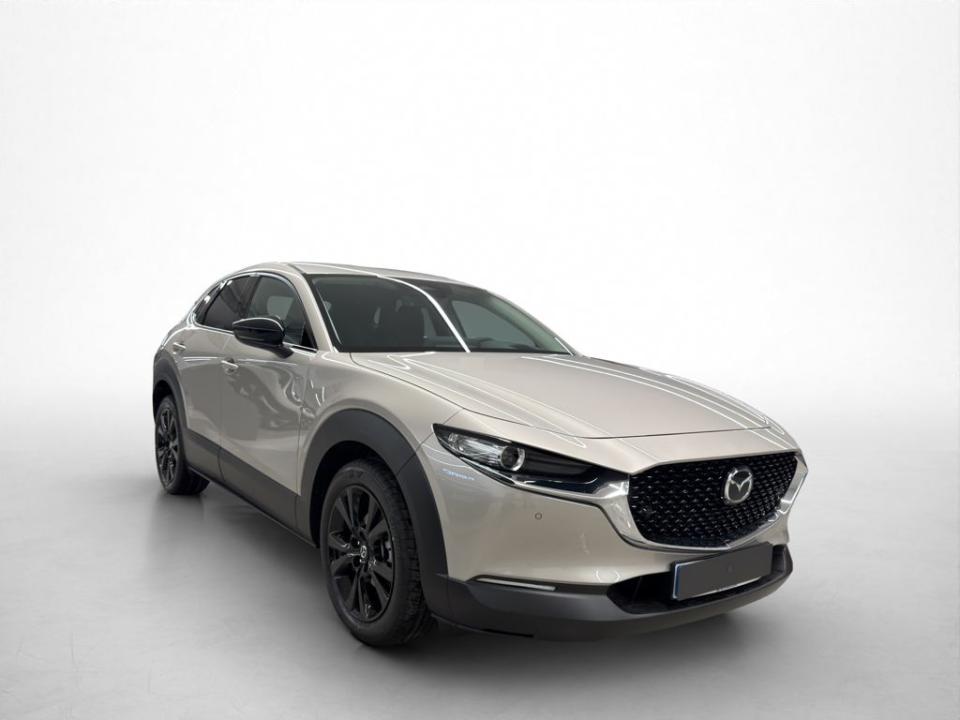 Mazda CX-30 Madrid - Motor Gasolina 150 CV
