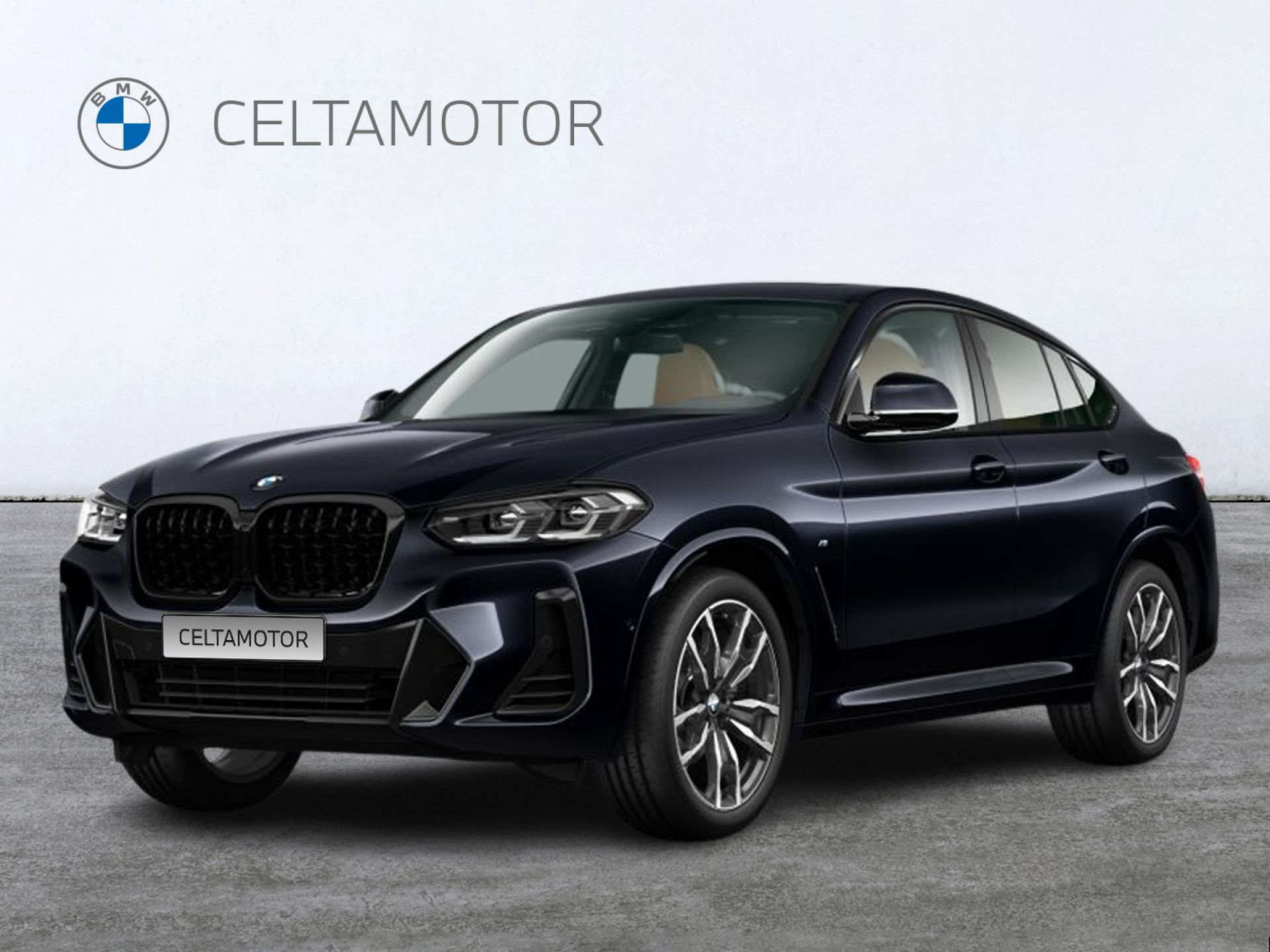 BMW X4 xDrive30d xLine