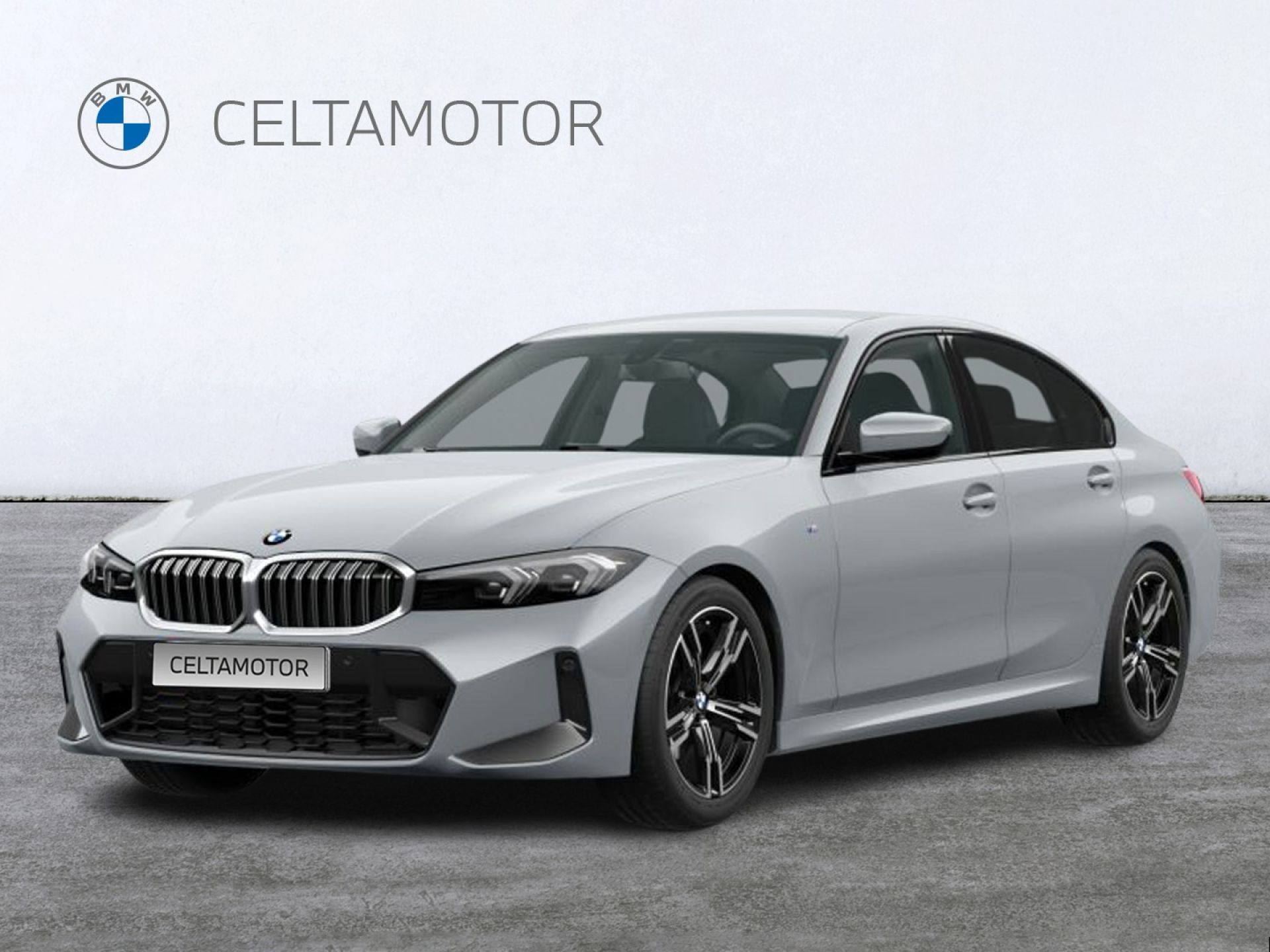 BMW Serie 3 318d Auto.