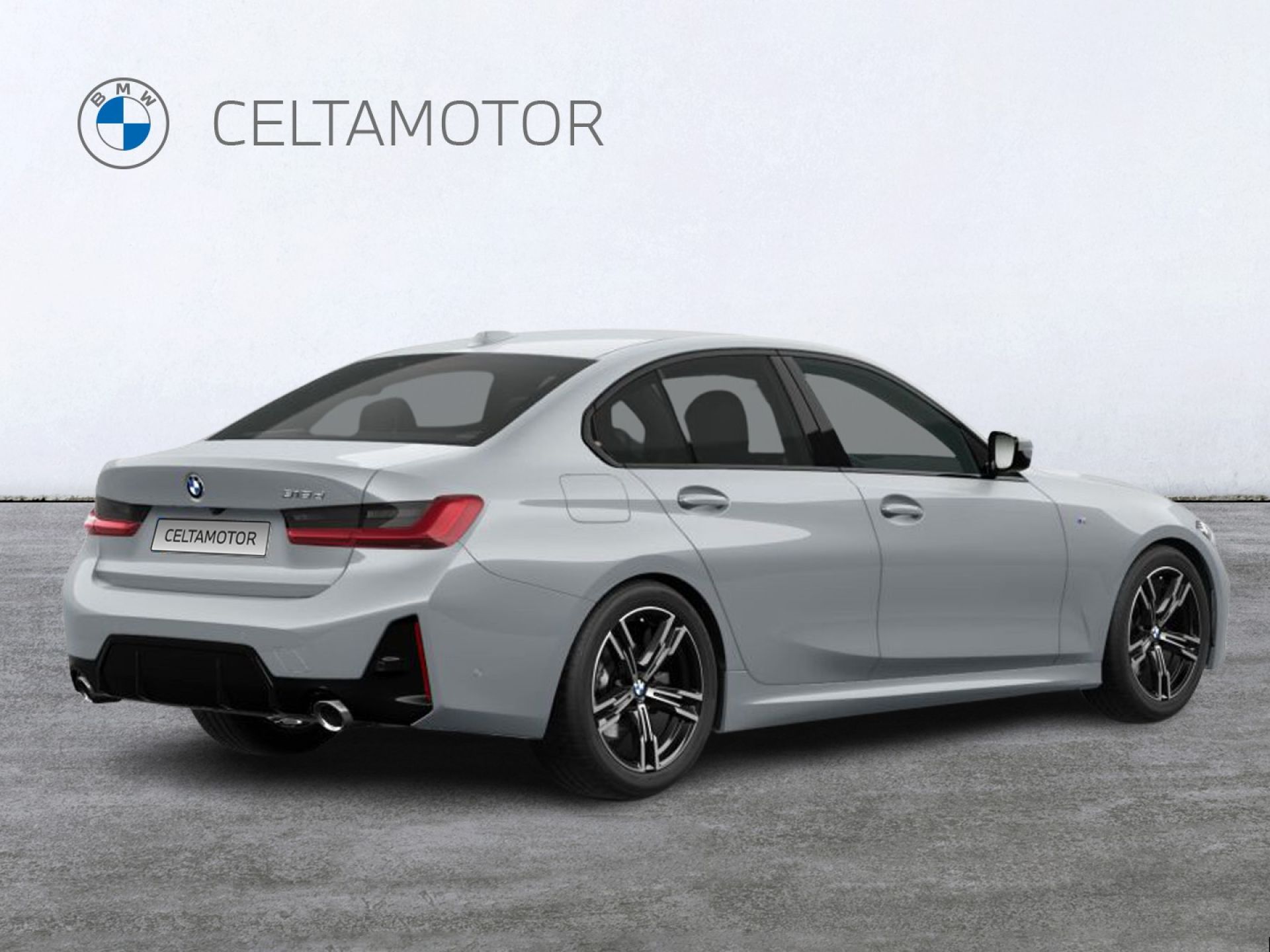 BMW Serie 3 318d Auto.