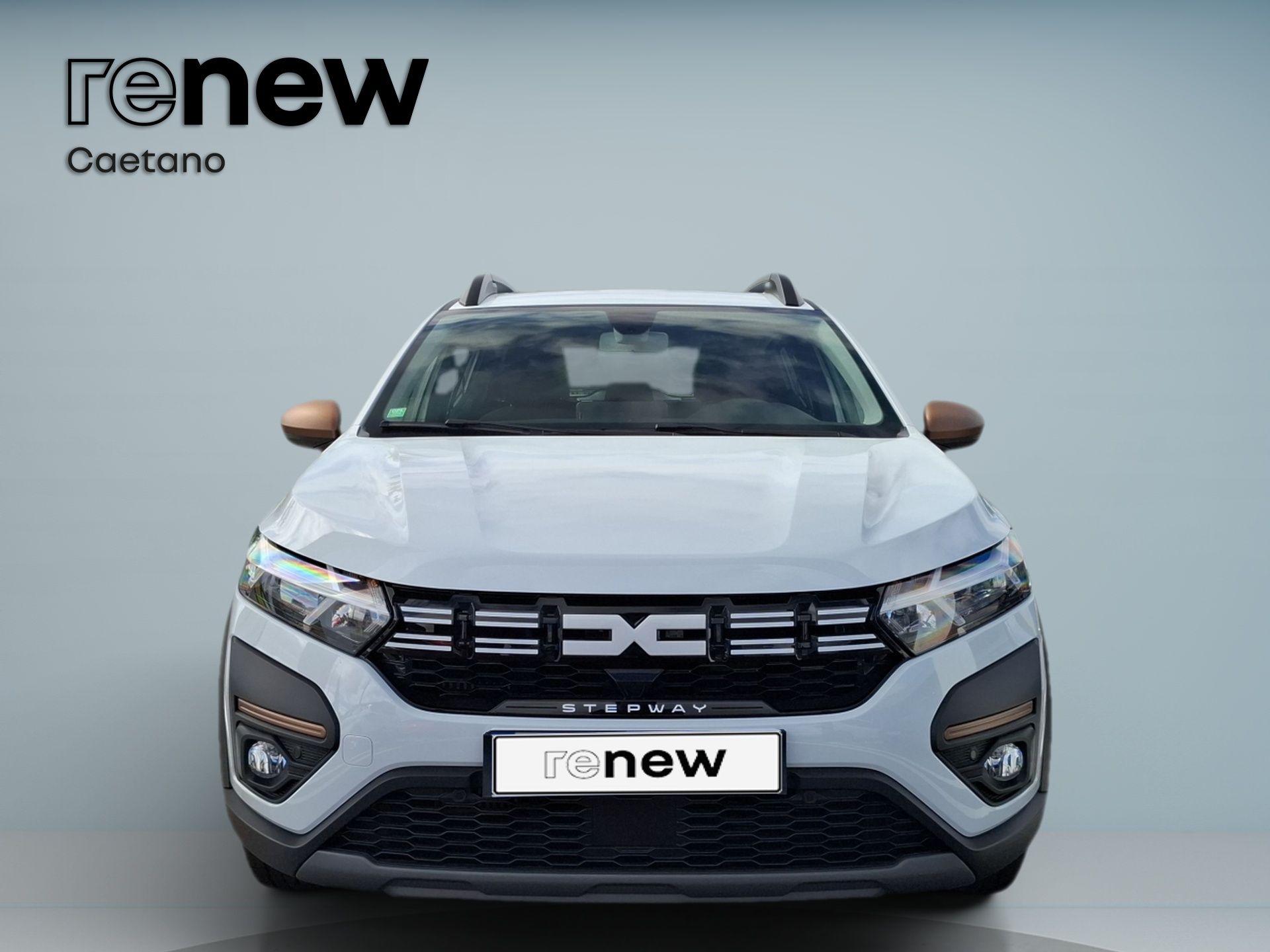 Dacia Sandero Sandero Stepway 1.0 ECO-G Stepway Extreme + Up&Go Bi-Fuel | 101cv | 5P | 5L — photo 2