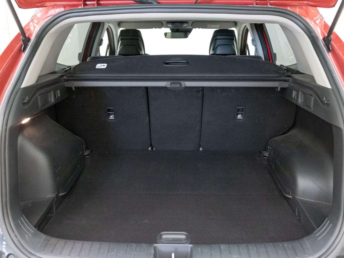 Kia Sportage 1.6 T-GDi HEV 171kW (230CV) Tech 4x2