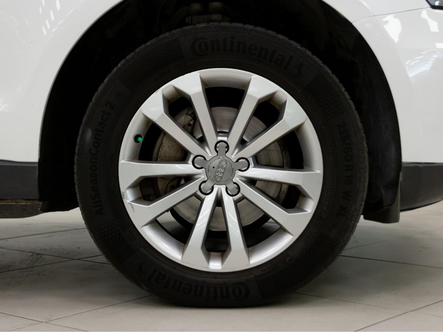 Audi Q5 2.0 TDI clean diesel 190CV quattro S tro