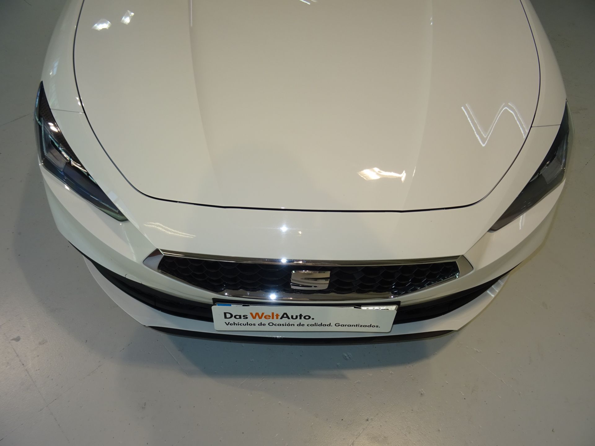 SEAT Nuevo León 1.0 TSI 81kW S&S Style 25 Aniversario