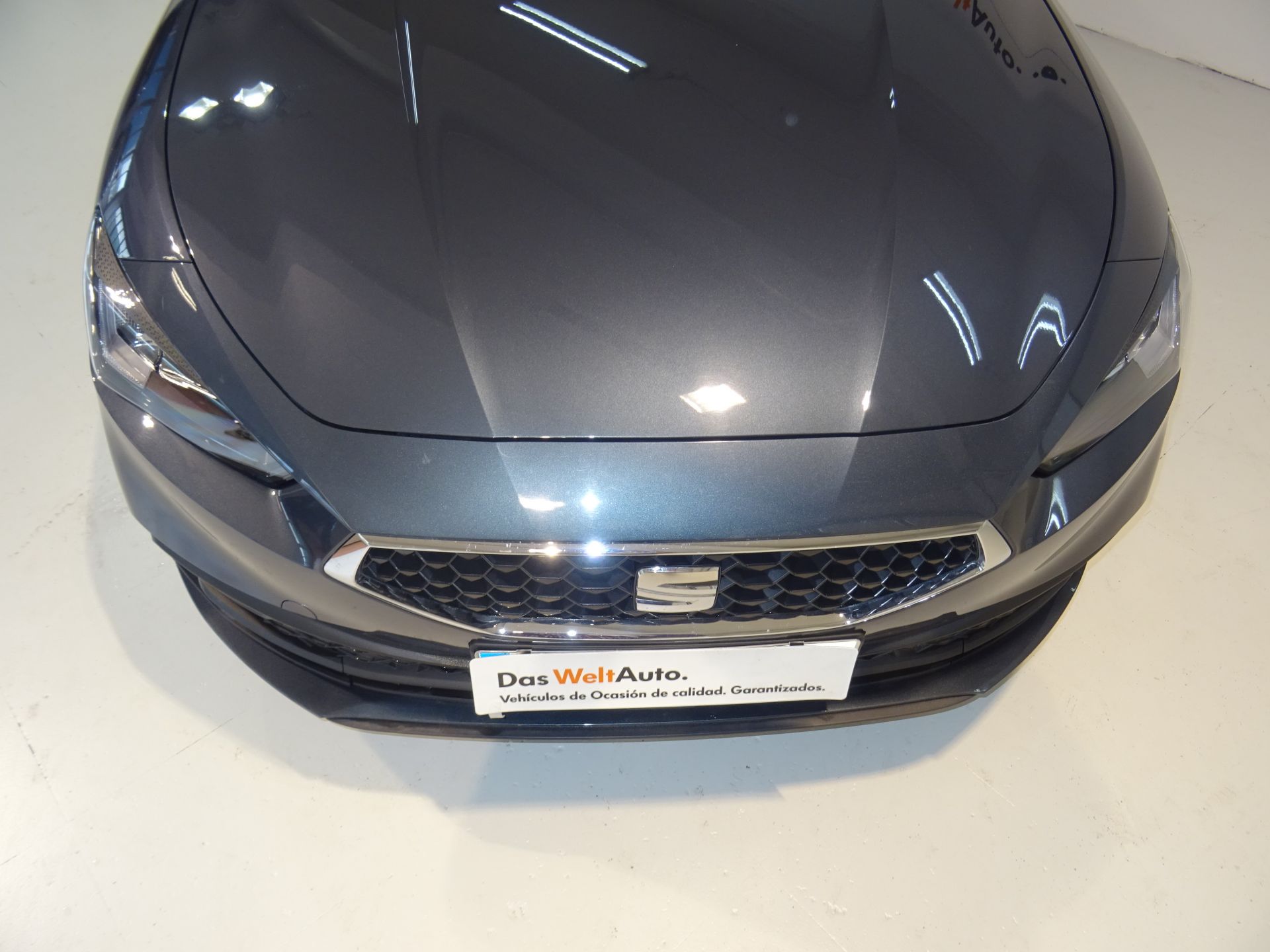 SEAT Nuevo León 1.0 TSI 81kW S&S Style 25 Aniversario