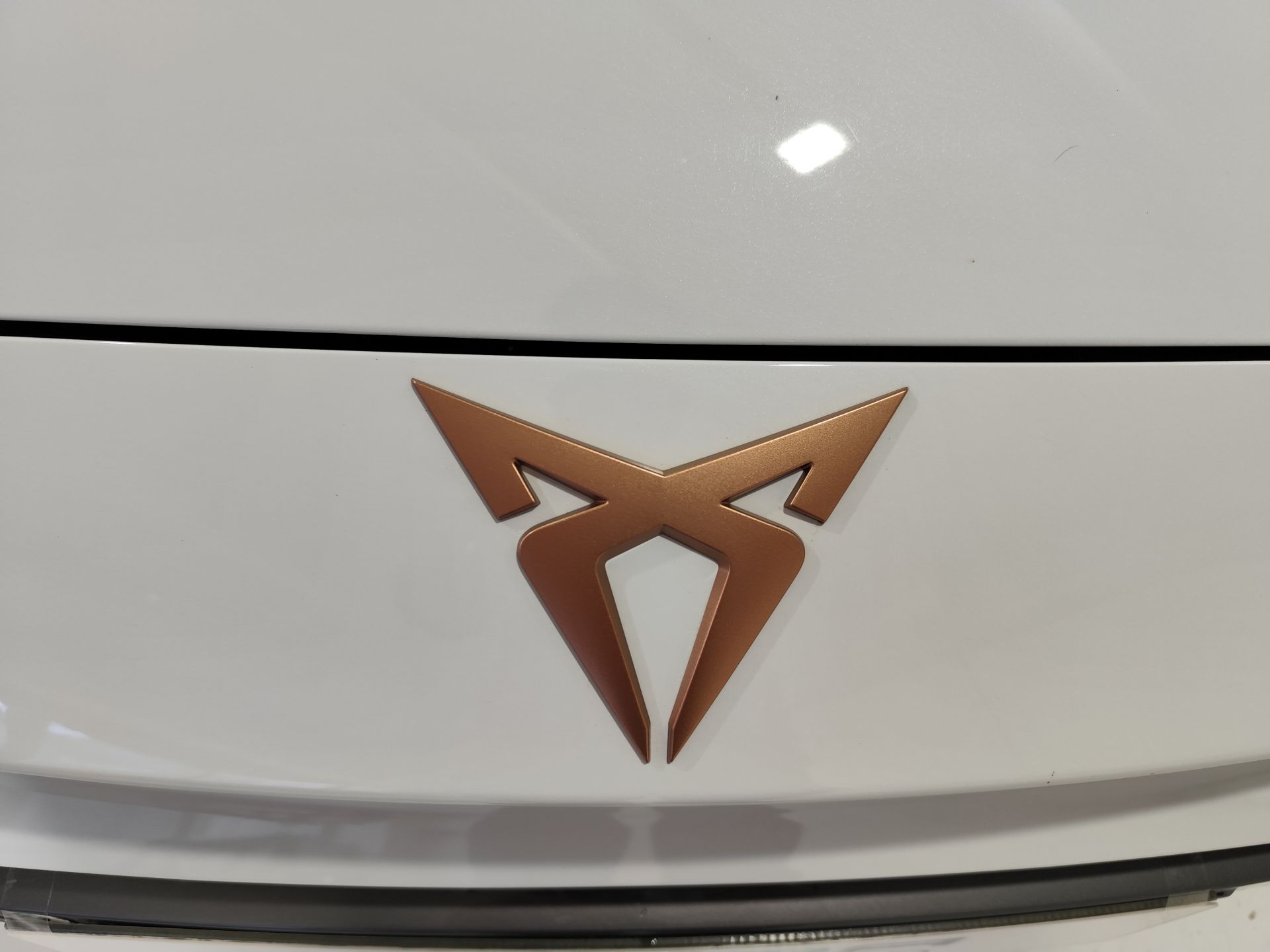 Cupra León 1.5 TSI 110kW (150CV)