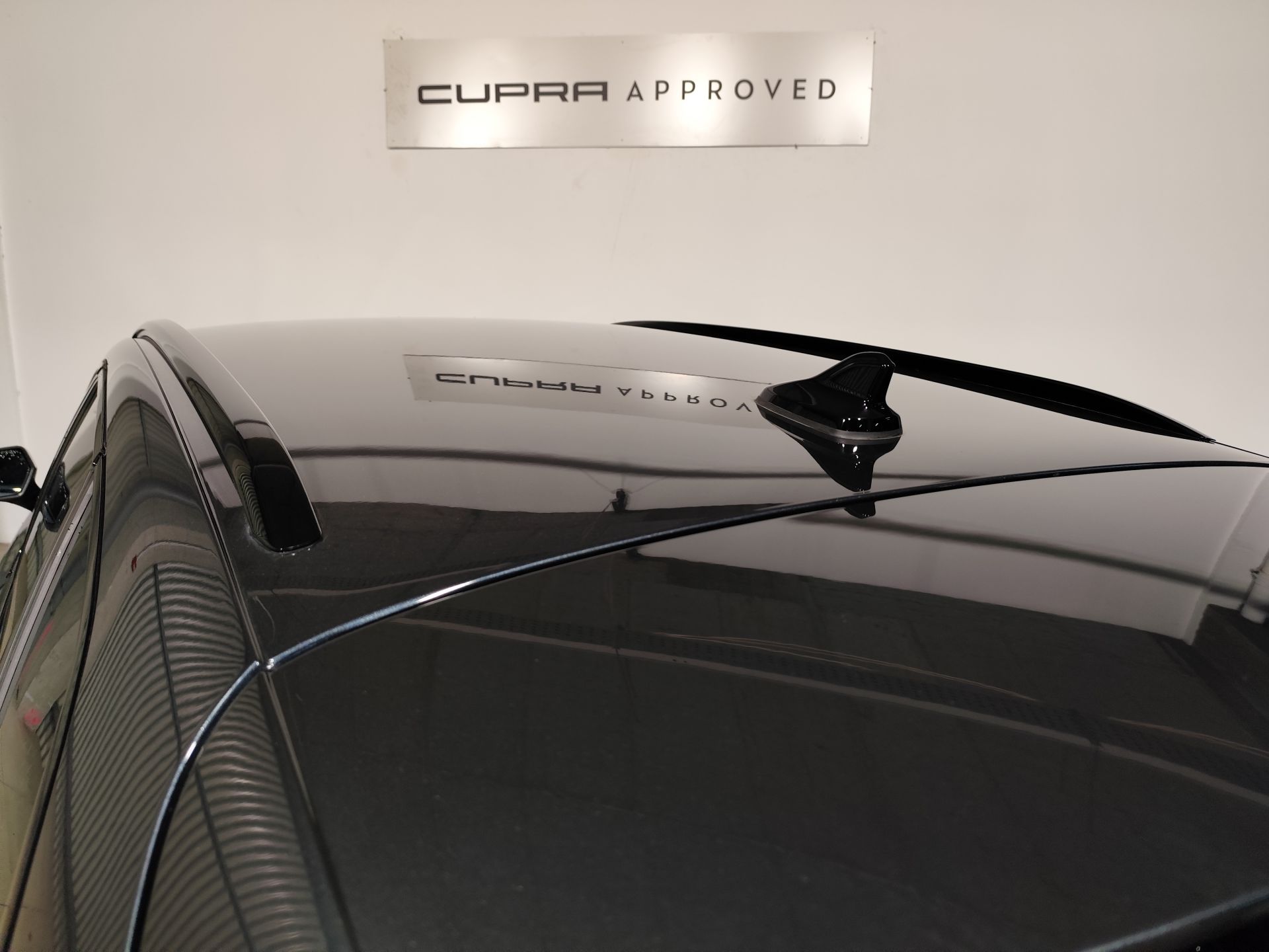 Cupra León SP 1.5 TSI 110kW (150CV)