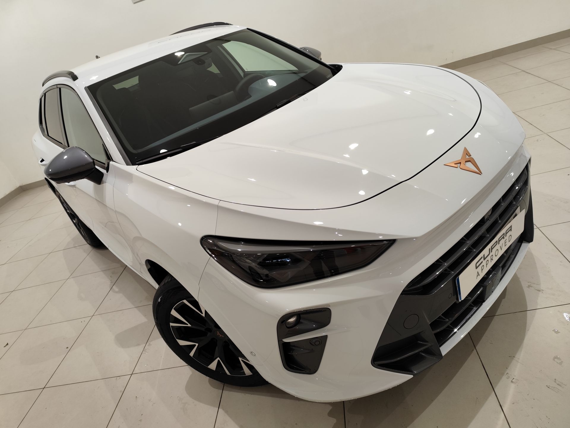 Cupra Terramar 1.5 TSI e-Hybrid 150kW (204 CV) DSG