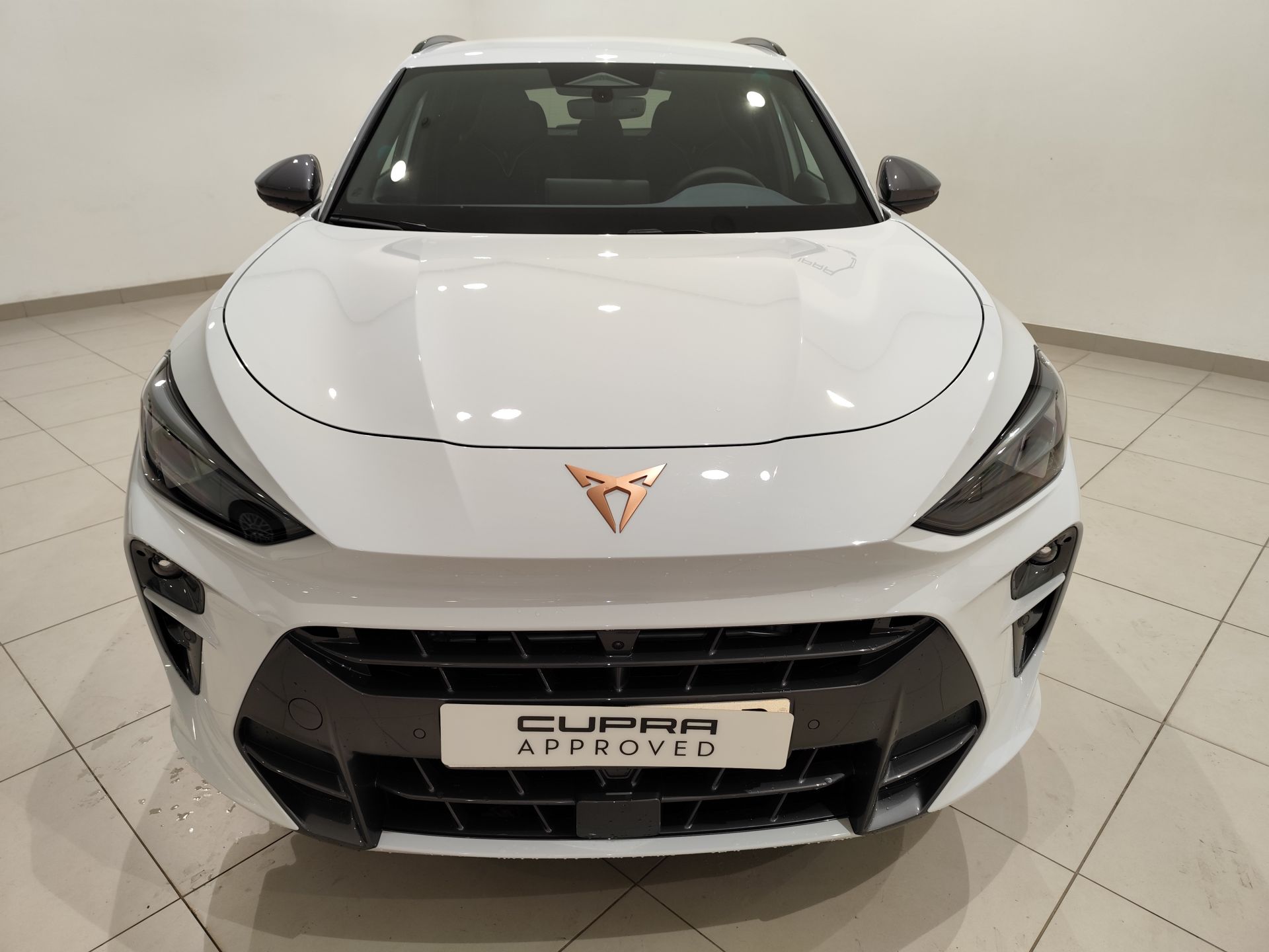 Cupra Terramar 1.5 TSI e-Hybrid 150kW (204 CV) DSG