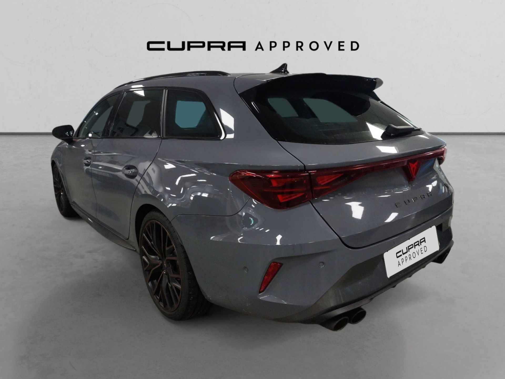Cupra León SP 2.0 TSI 245kW (333CV) VZ DSG 4WD