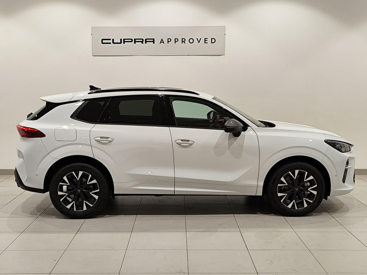 Cupra Terramar 1.5 TSI e-Hybrid 150kW (204 CV) DSG