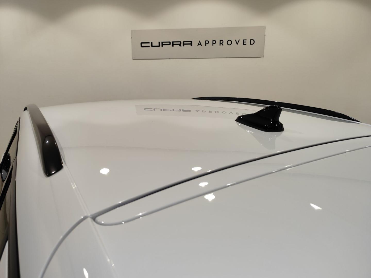 Cupra Terramar 1.5 TSI e-Hybrid 150kW (204 CV) DSG