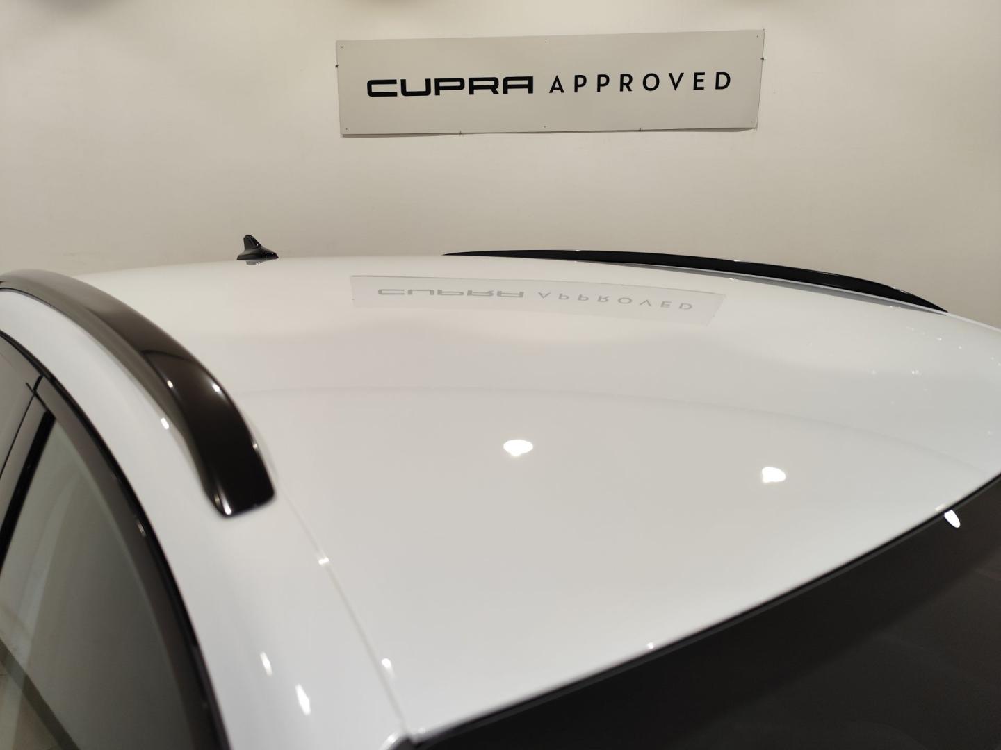 Cupra Terramar 1.5 TSI e-Hybrid 150kW (204 CV) DSG