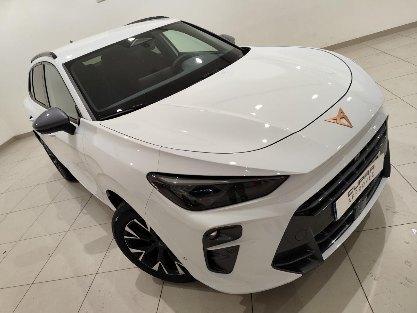 Cupra Terramar 1.5 TSI e-Hybrid 150kW (204 CV) DSG
