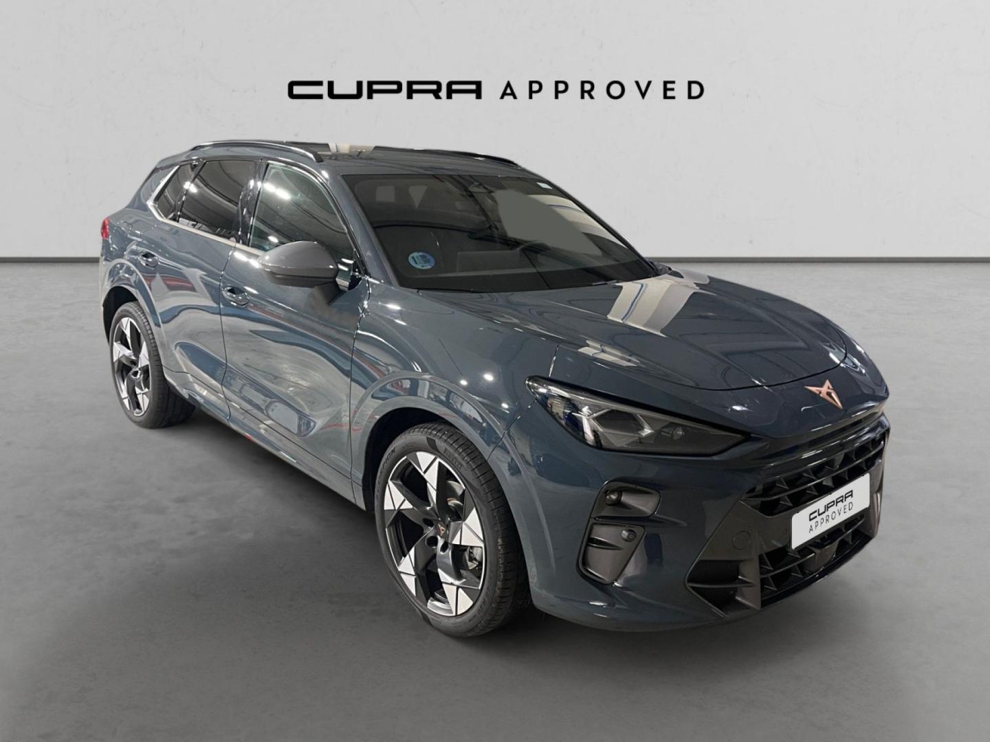 Cupra Terramar 1.5 eTSI 110kW (150 CV) DSG
