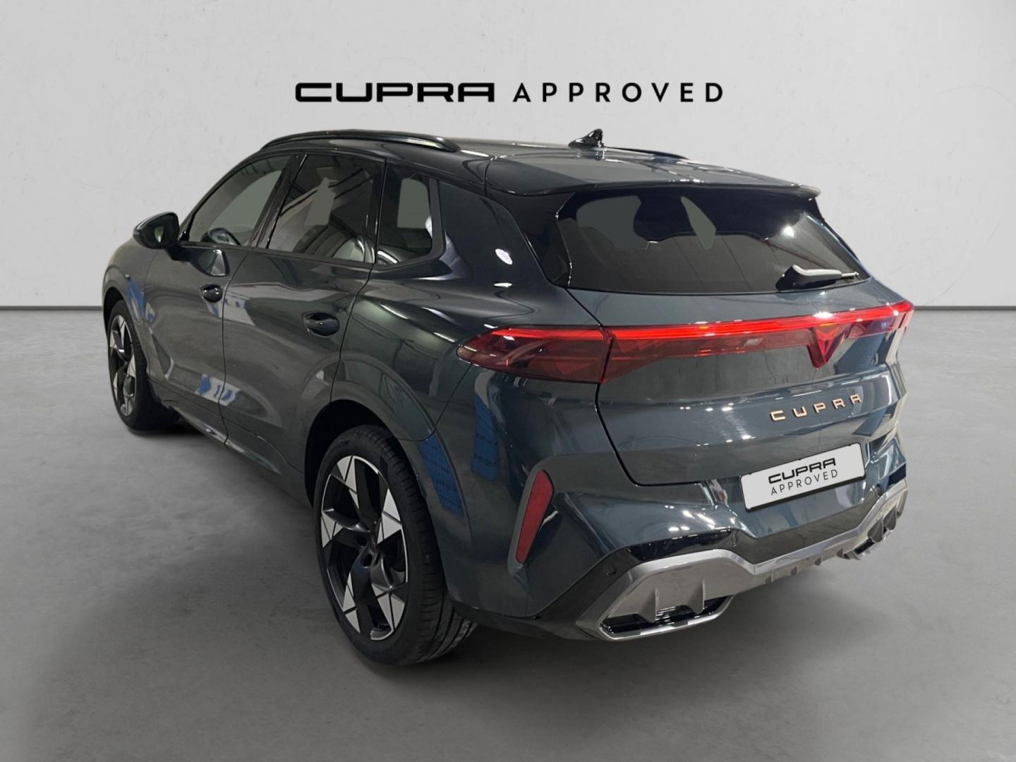 Cupra Terramar 1.5 eTSI 110kW (150 CV) DSG