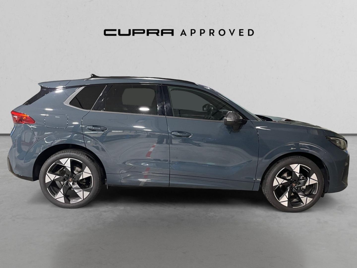 Cupra Terramar 1.5 eTSI 110kW (150 CV) DSG