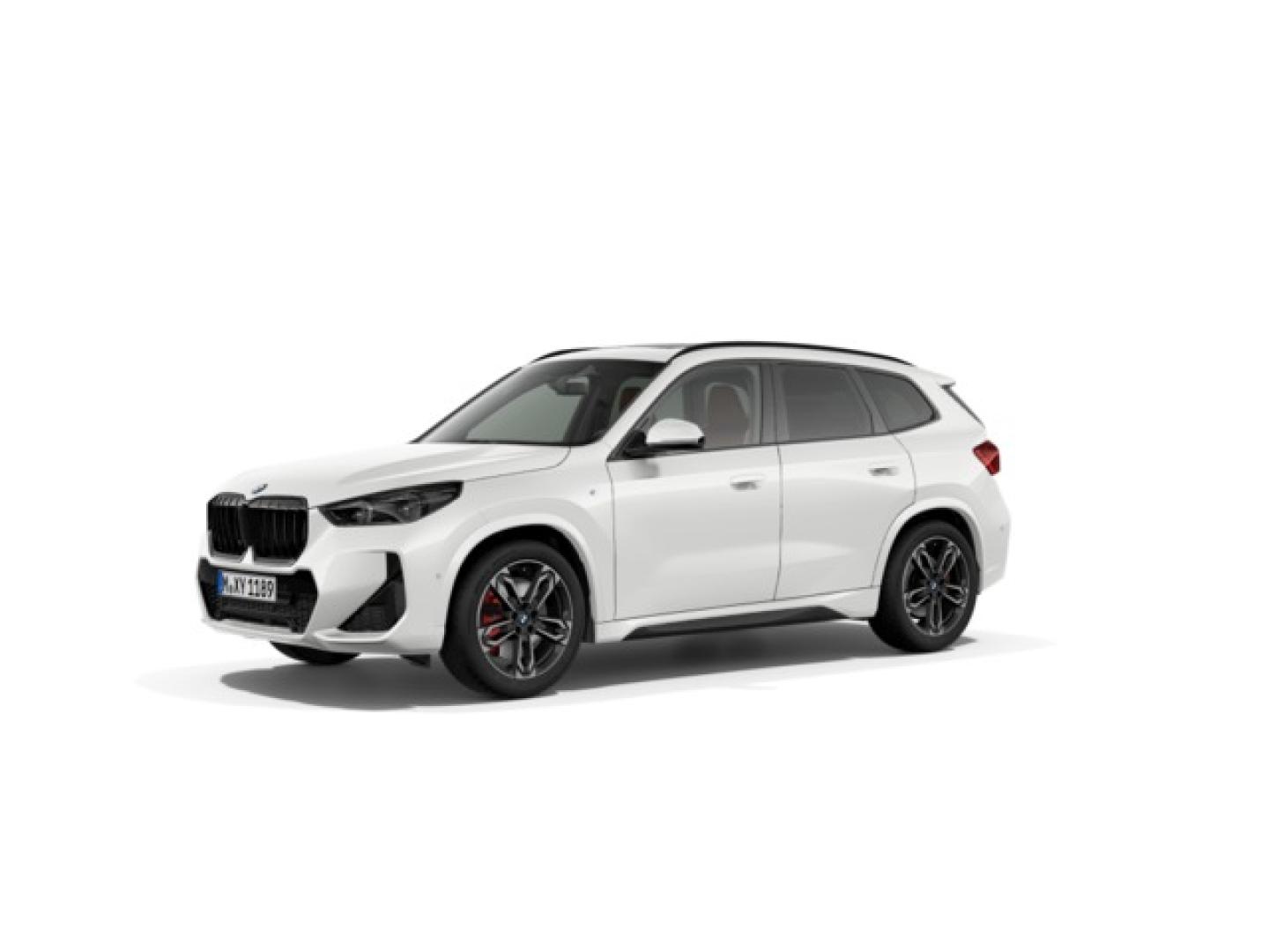 BMW X1 xDrive20d 120 kW (163 CV)