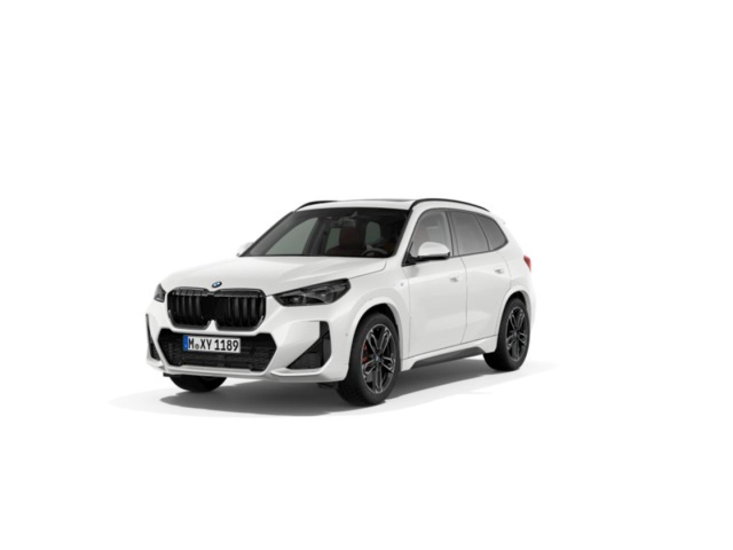 BMW X1 xDrive20d 120 kW (163 CV)