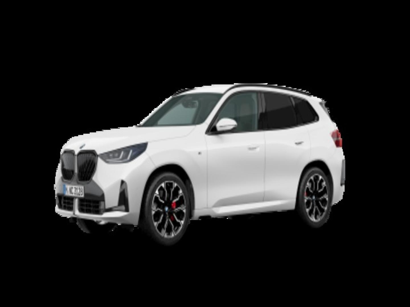 BMW X3 xDrive20d 145 kW (197 CV)