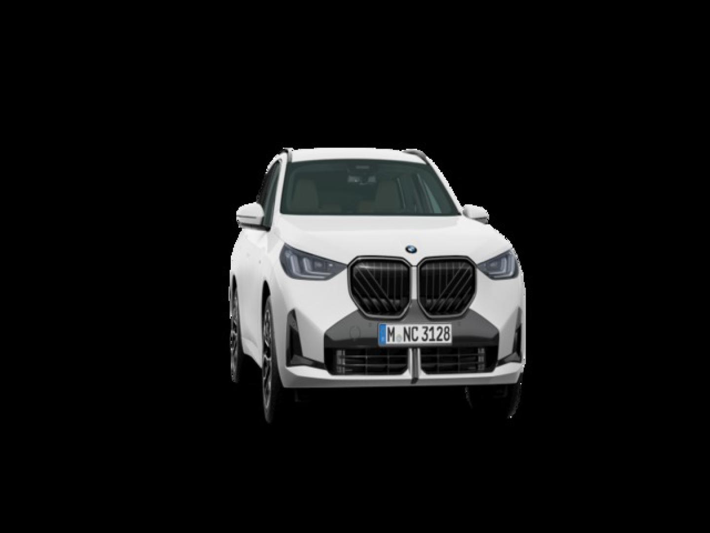 BMW X3 xDrive20d 145 kW (197 CV)