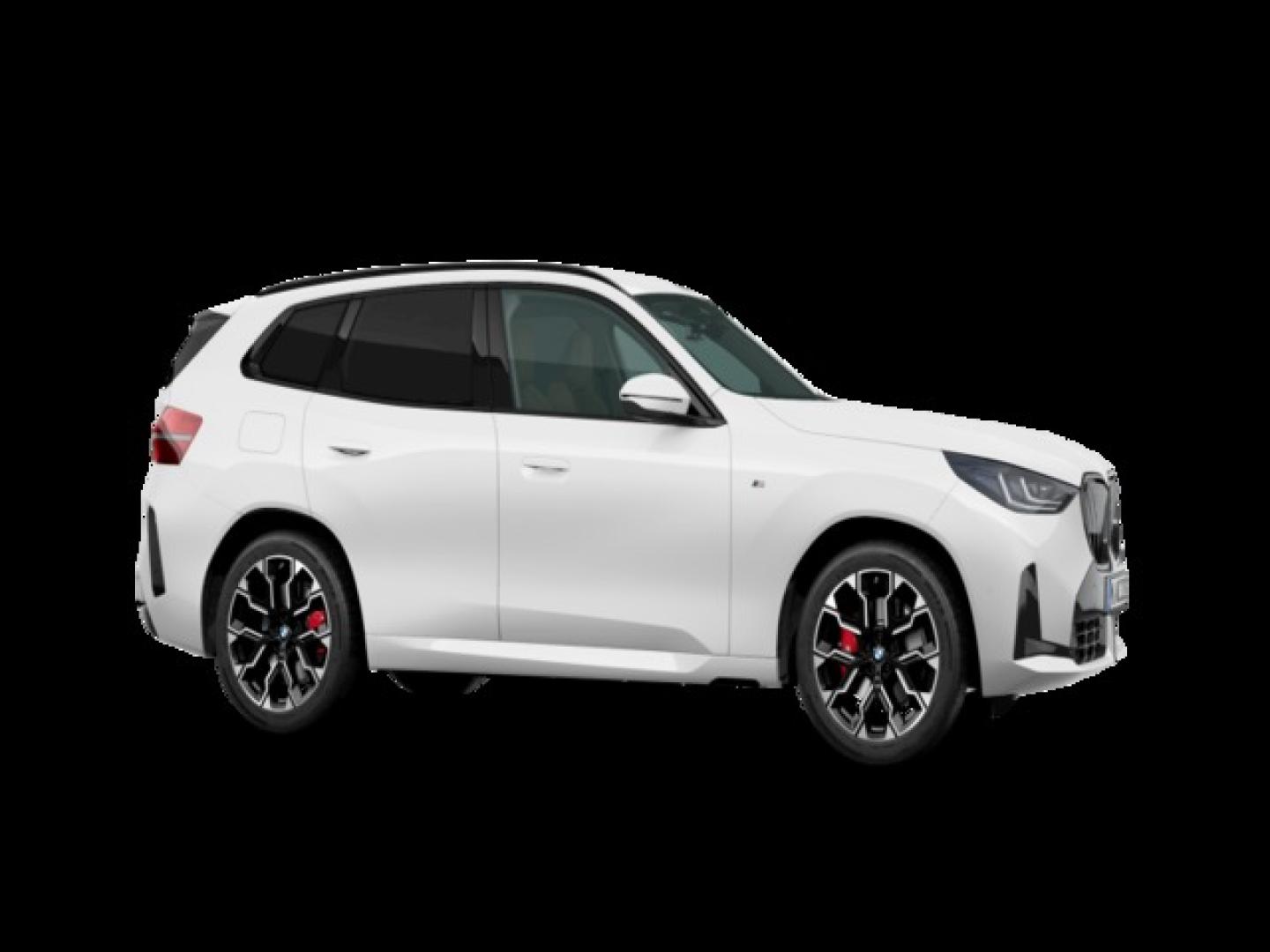 BMW X3 xDrive20d 145 kW (197 CV)