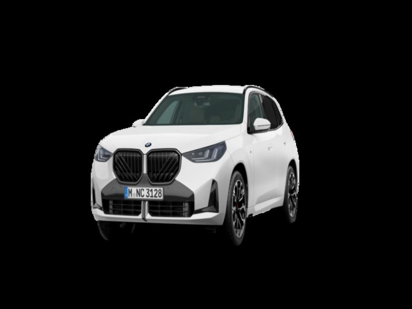 BMW X3 xDrive20d 145 kW (197 CV)