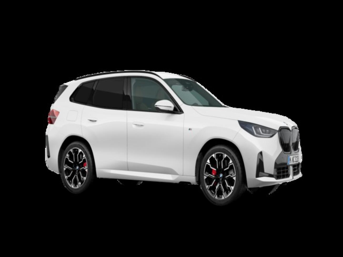 BMW X3 xDrive20d 145 kW (197 CV)