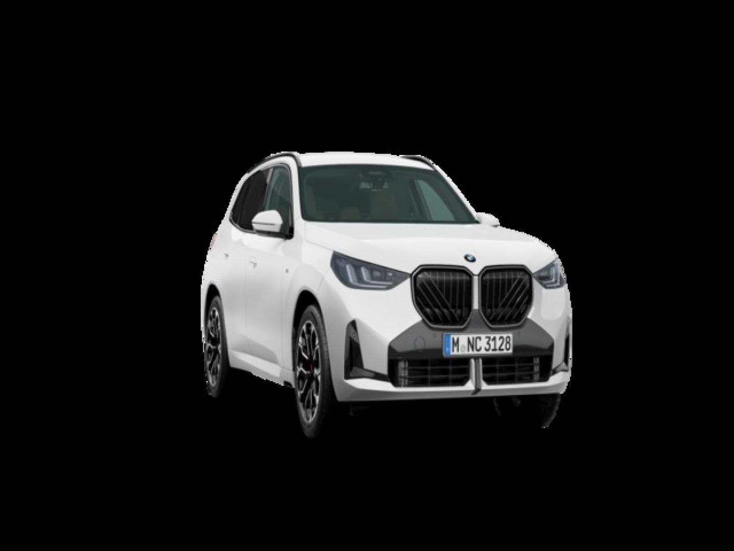 BMW X3 xDrive20d 145 kW (197 CV)