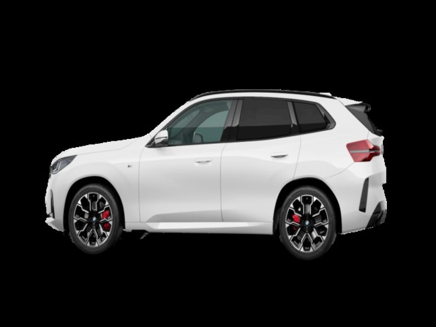 BMW X3 xDrive20d 145 kW (197 CV)