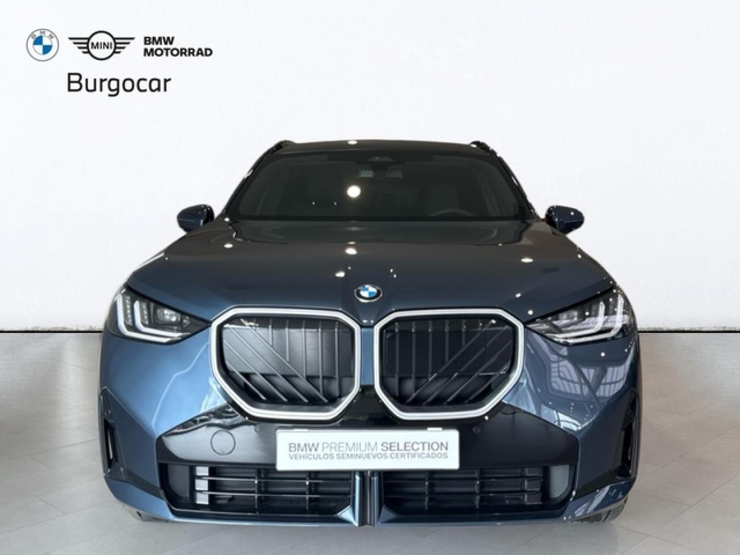 BMW X3 xDrive30e 220 kW (299 CV)