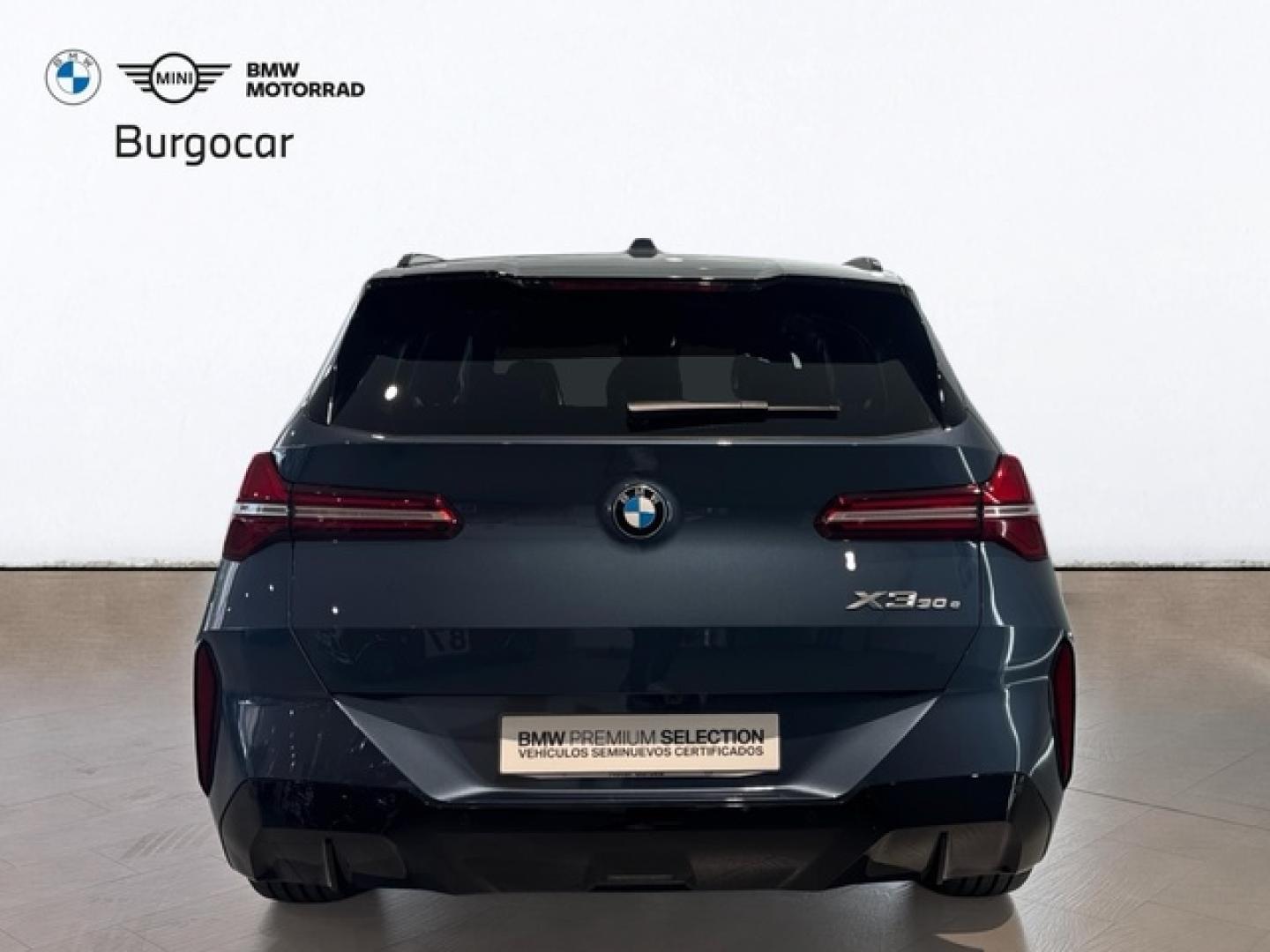 BMW X3 xDrive30e 220 kW (299 CV)