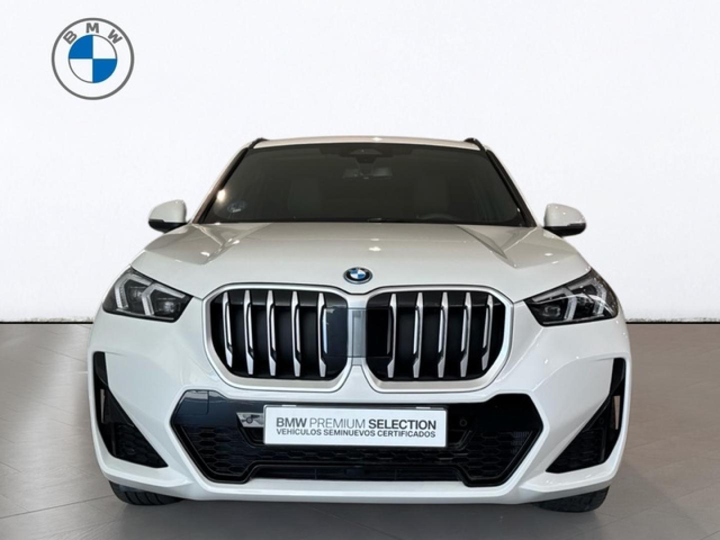 BMW X1 xDrive25e 180 kW (245 CV)