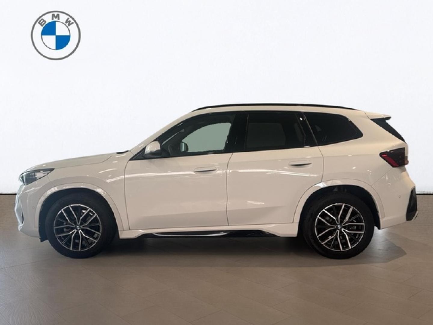 BMW X1 sDrive20d 120 kW (163 CV)