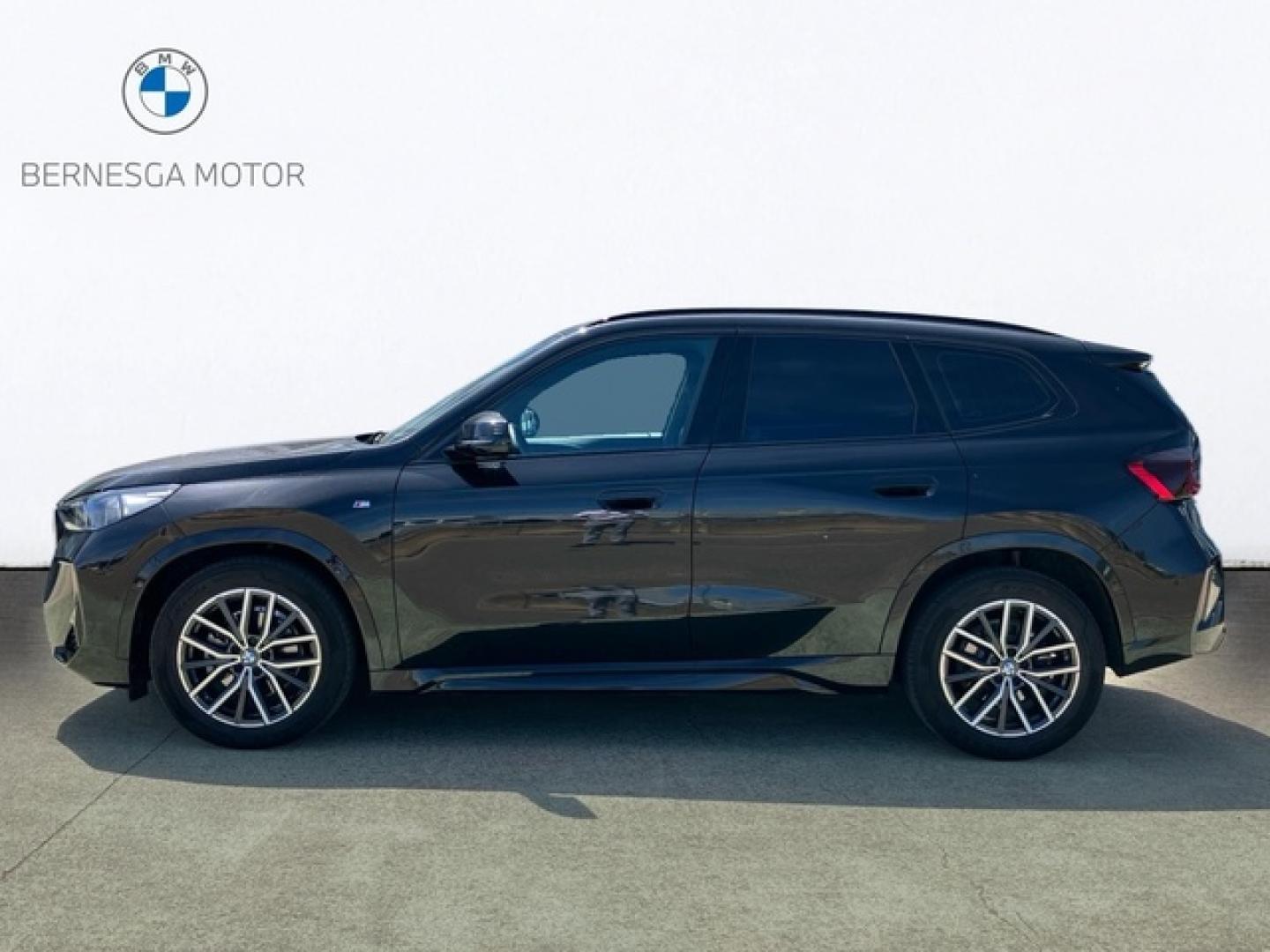 BMW X1 xDrive20d 120 kW (163 CV)