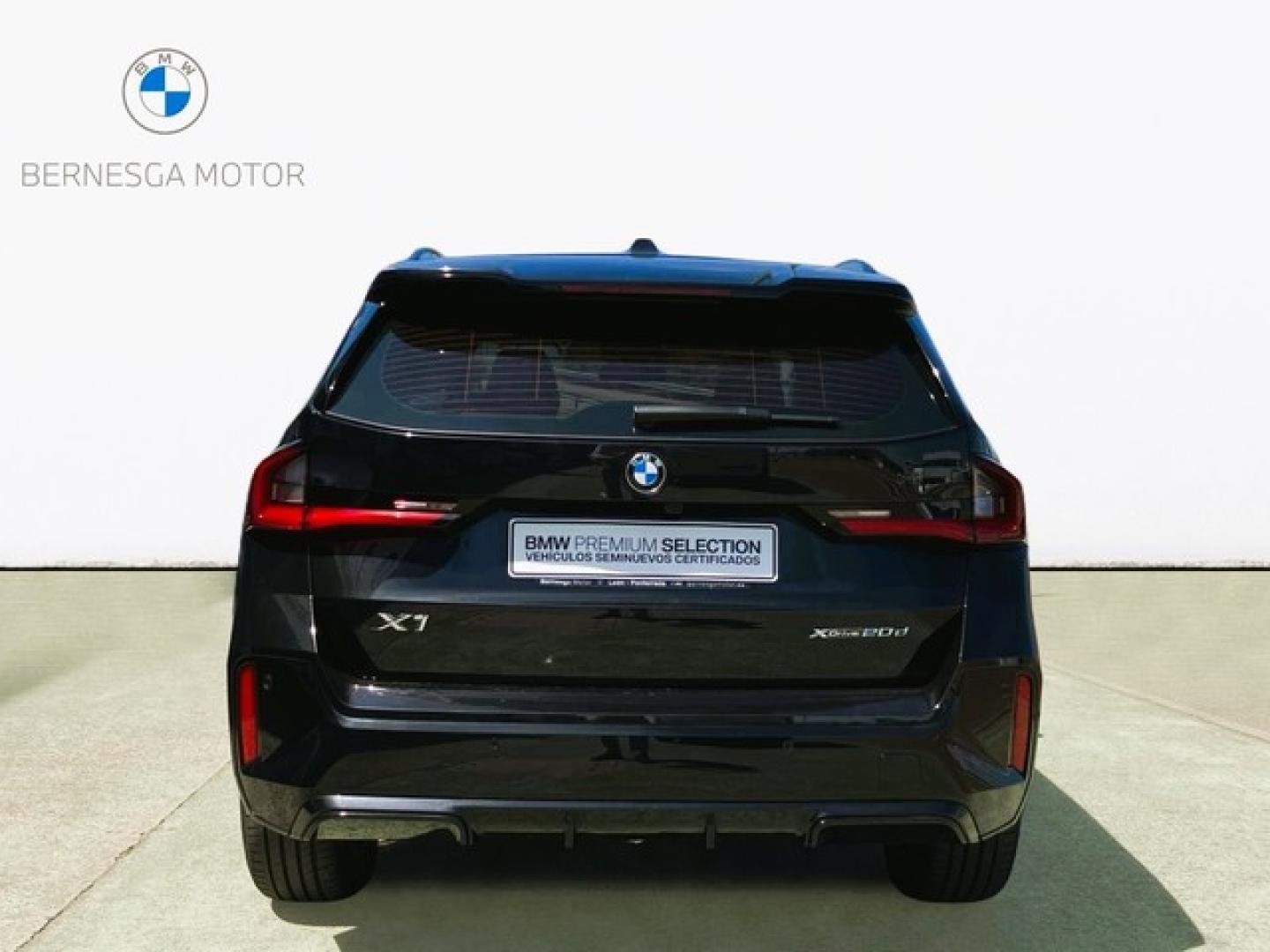 BMW X1 xDrive20d 120 kW (163 CV)