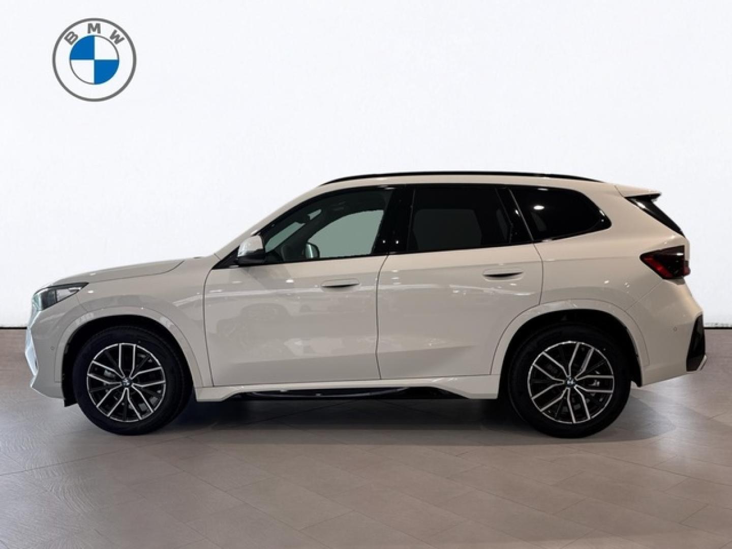 BMW X1 sDrive20d 120 kW (163 CV)