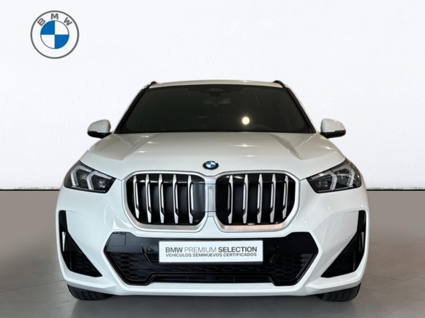 BMW X1 sDrive20d 120 kW (163 CV)
