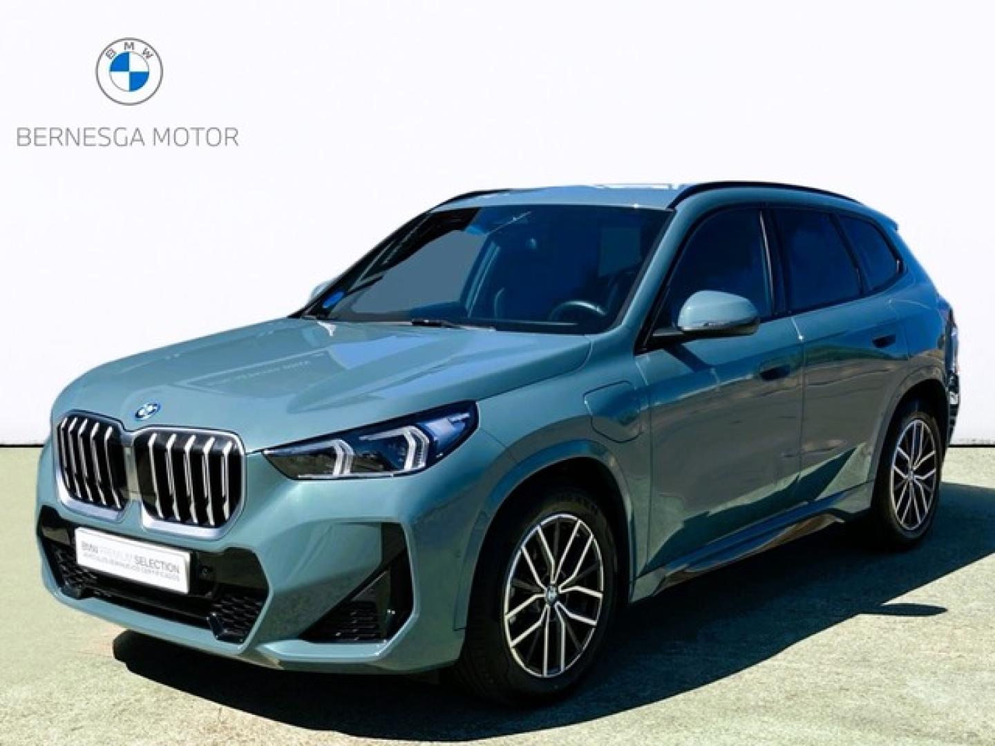 BMW X1 xDrive25e 180 kW (245 CV)