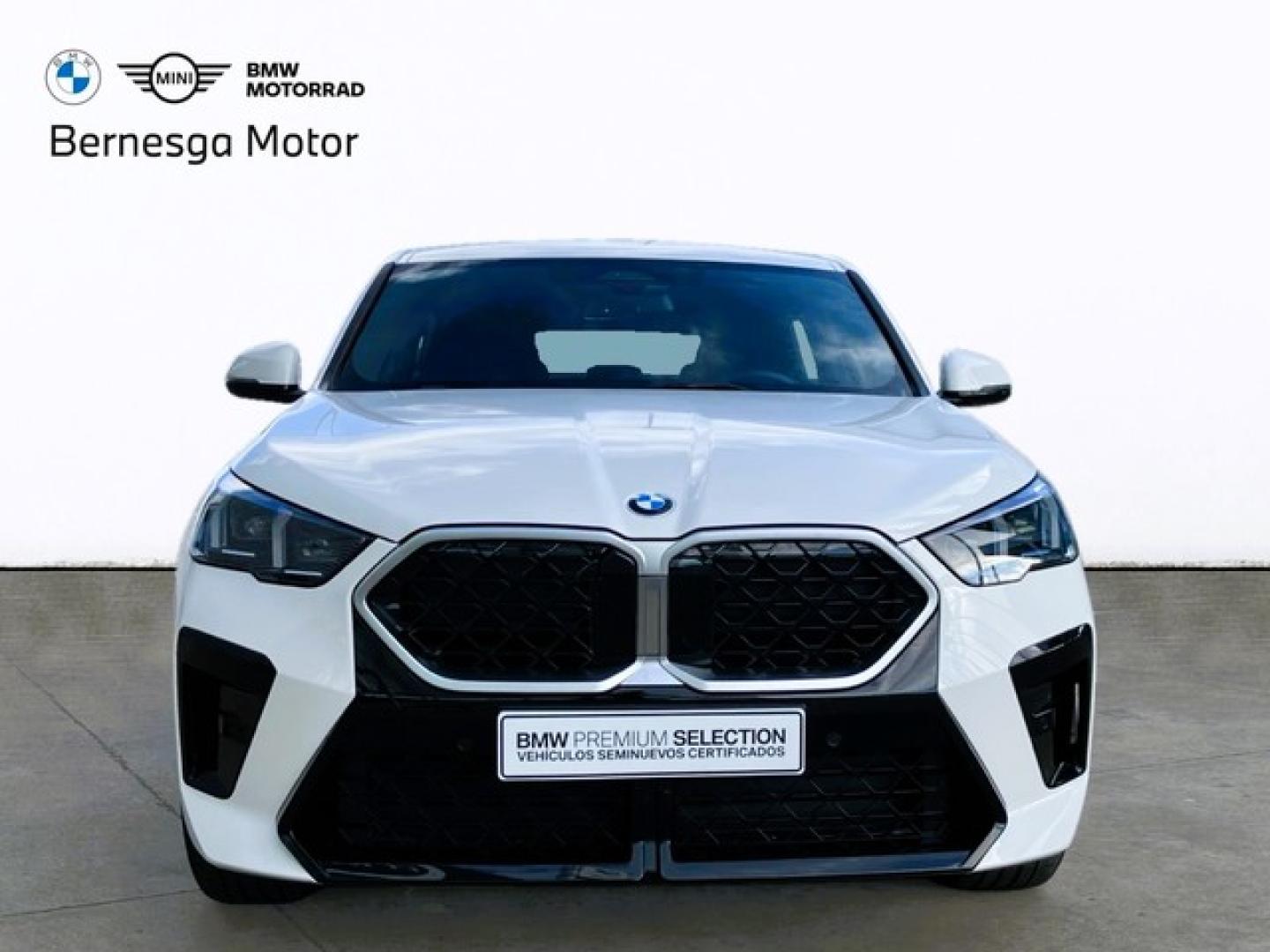 BMW X2 xDrive20d 120 kW (163 CV)