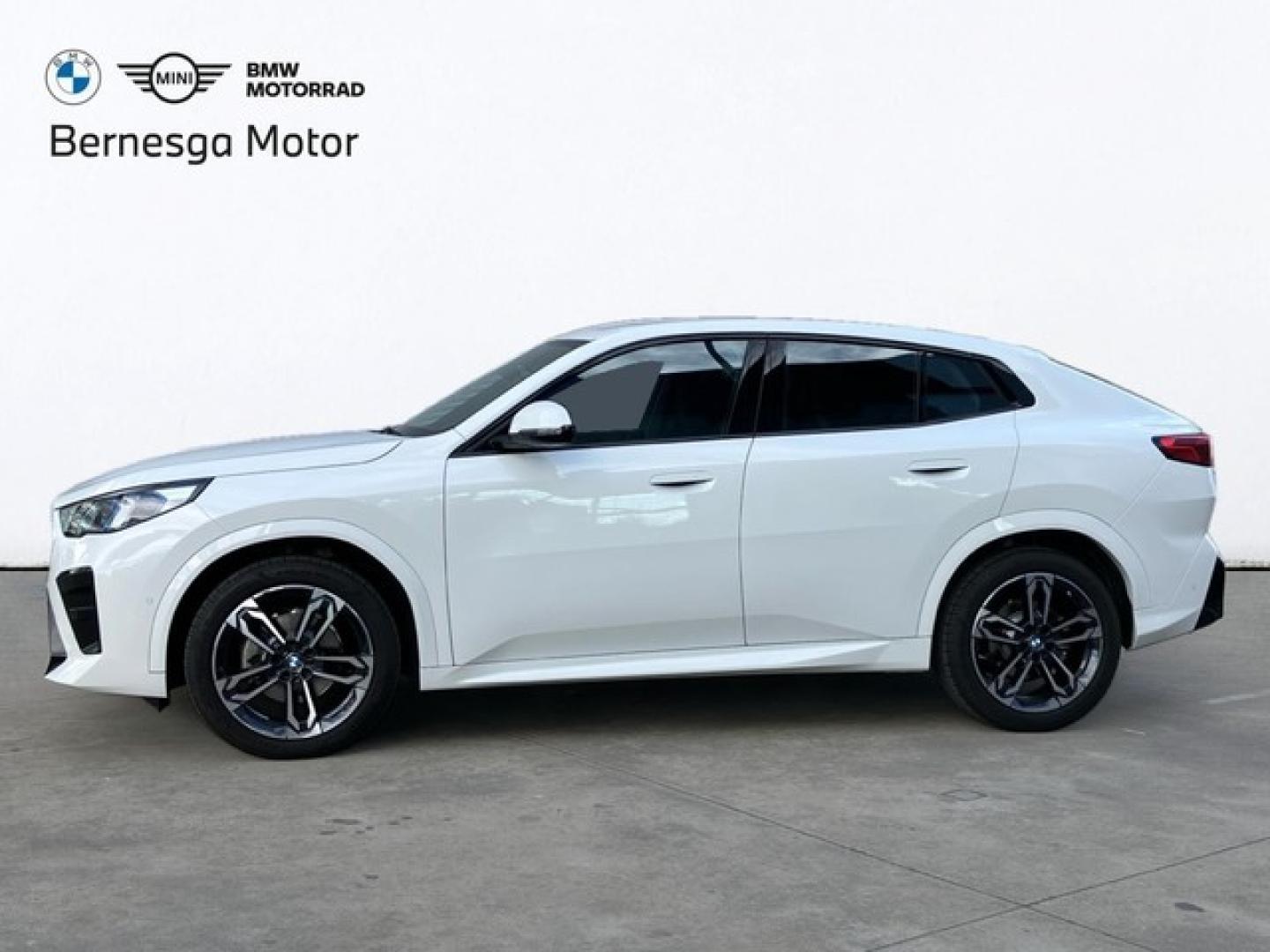 BMW X2 xDrive20d 120 kW (163 CV)