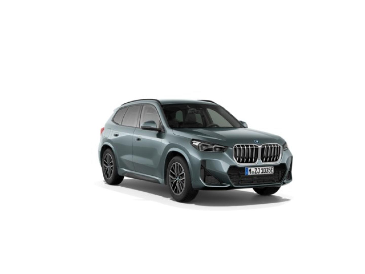 BMW X1 xDrive25e 180 kW (245 CV)