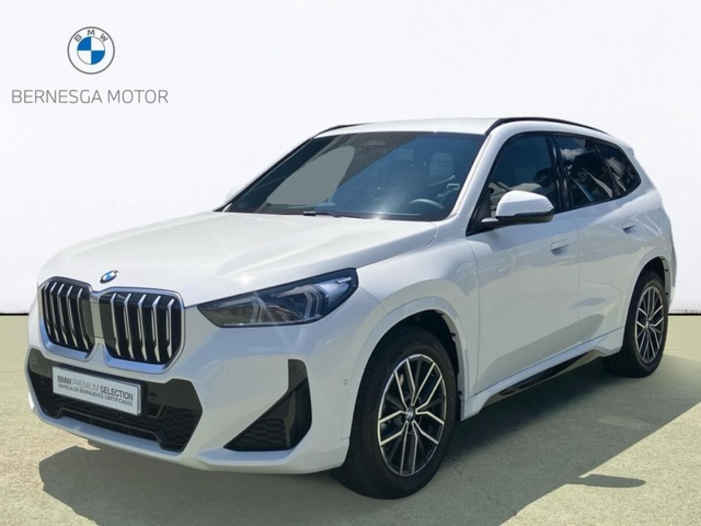 BMW X1 sDrive20i 125 kW (170 CV)
