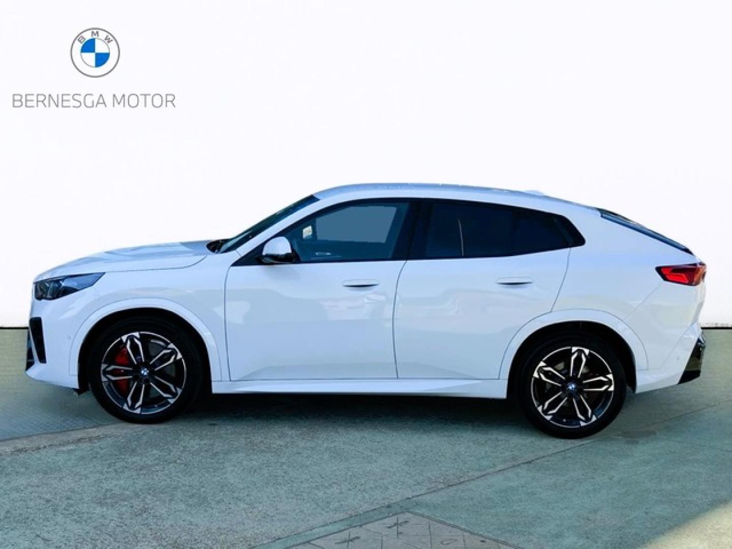 BMW X2 sDrive20d 120 kW (163 CV)
