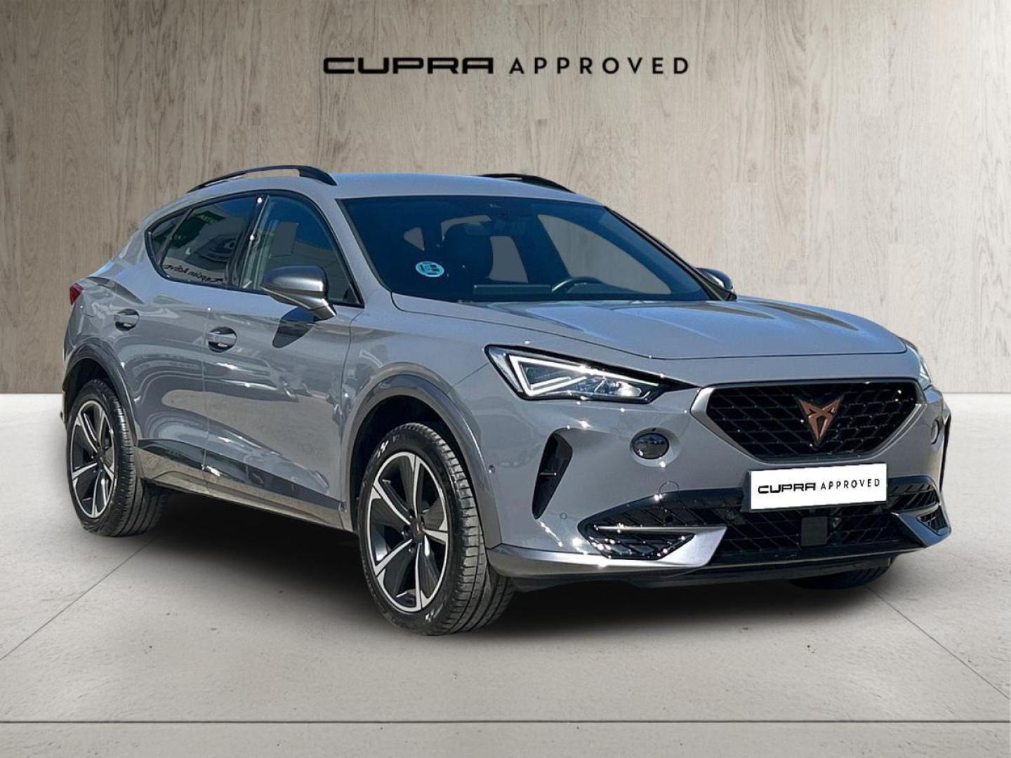 Cupra Formentor 1.5 TSI DSG 110 kW (150 CV)