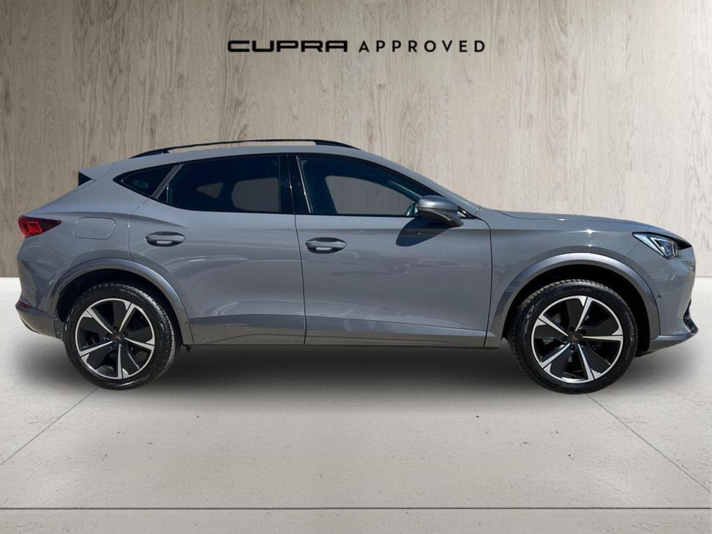 Cupra Formentor 1.5 TSI DSG 110 kW (150 CV)