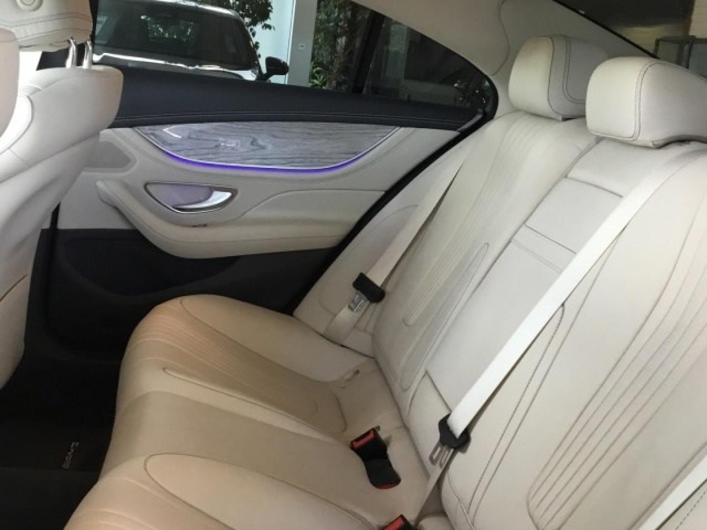 Mercedes Benz CLS 220 d AMG Line (EURO 6d)