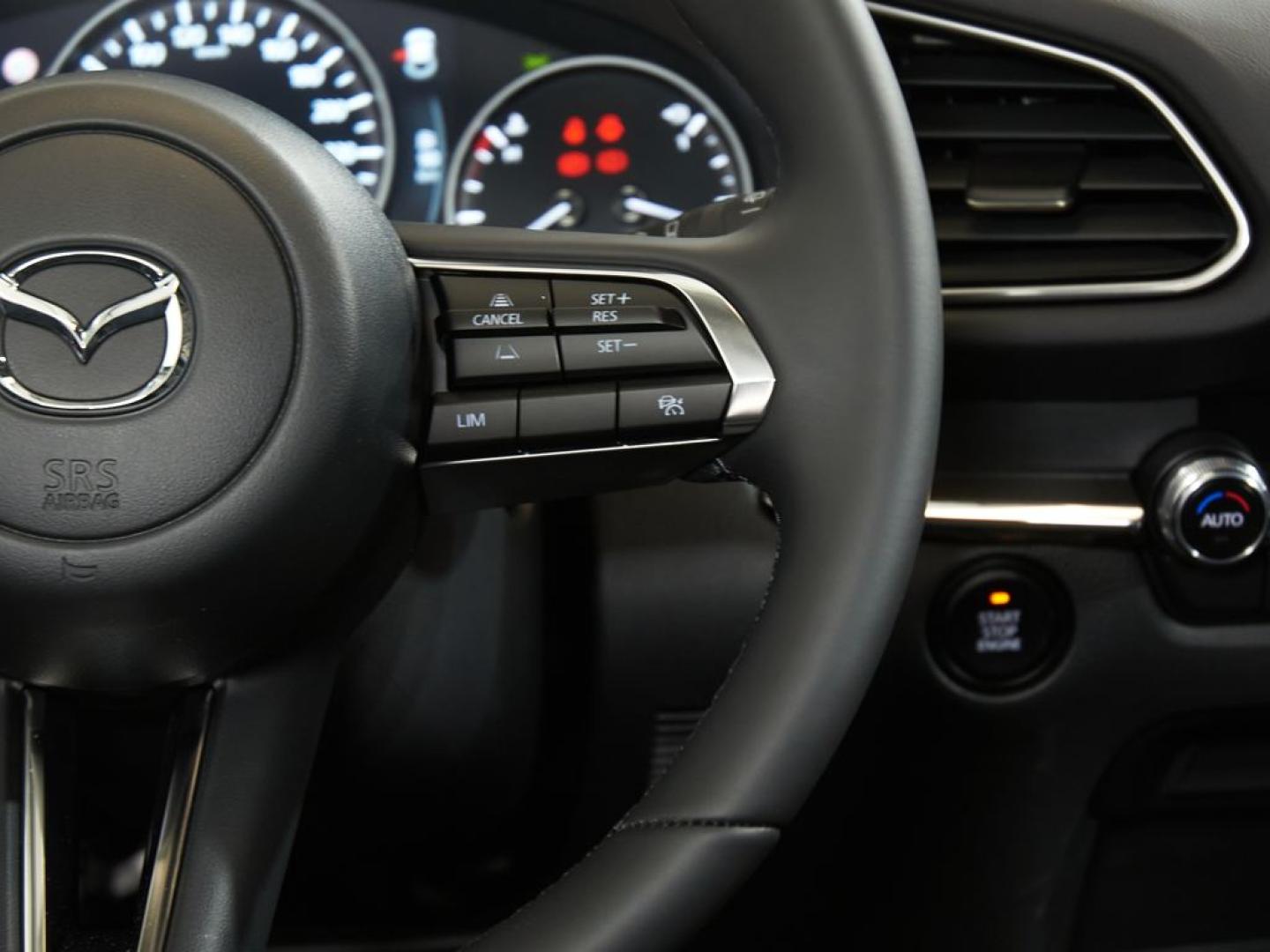 Mazda CX-30 2025 2.5L E-SKYACTIV G MHEV 103KW (140CV) 6MT FWD HOMURA